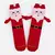 Meia Santa Claus