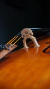 VIOLONCELO DE AUTOR - FERNANDO FAGUNDES