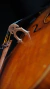 VIOLONCELO DE AUTOR - FERNANDO FAGUNDES - comprar online