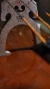 VIOLONCELO DE AUTOR - FERNANDO FAGUNDES na internet