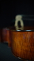 VIOLONCELO DE OFICINA PROFISSIONAL na internet