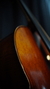 VIOLONCELO DE OFICINA PROFISSIONAL - Elton Araújo