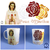 Caneca Nossa Senhora da Rosa Mística - 325ml