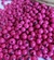 Açaí Rosa PINK - comprar online