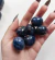 Buriti Azul Bic na internet