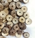 Disco de coco 2 cm - loja online
