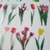 Adesivo tulipa - comprar online