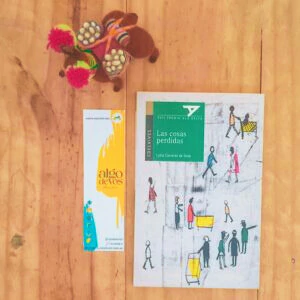 LAS COSAS PERDIDAS -LYDIA CARRERAS DE SOSA- - comprar online