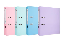 BIBLIORATO A4 LOMO ANCHO COLOR en internet