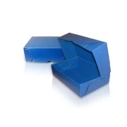 CAJA ARCHIVO PLÁSTICA