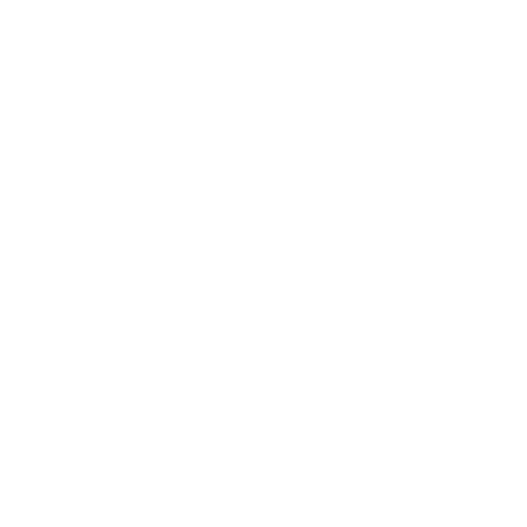 Punto G