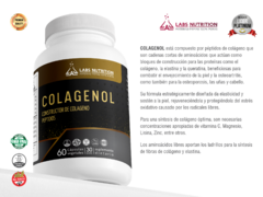 Colagenol (60 cápsulas) - comprar online