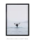 Quadro Cauda de Baleia - Emoldurei Store