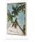 Quadro Céu de Palmeiras - loja online