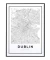 Quadro Mapa de Dublin