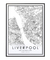 Quadro Mapa de Liverpool