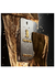 1 Million Lucky Paco Rabanne Eau de Toilette - Perfume Masculino - loja online