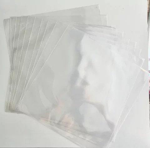 Kit com 10 plásticos para vinil - Fabi Paliares