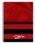 Imagem do Caderno Escolar Capa Dura Espiral 1 Matéria Flamengo Zico com Poster 56x38 cm