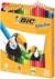 Lápis de Cor 24 Cores Escolar Ponta Resistente Bic Evolution - PAPELARIA STORE
