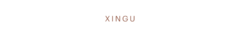 Banner da categoria XINGU