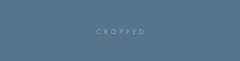 Banner da categoria CROPPED