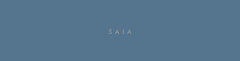 Banner da categoria SAIAS