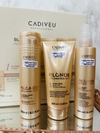 KIT BLONDE RECONSTRUCTOR