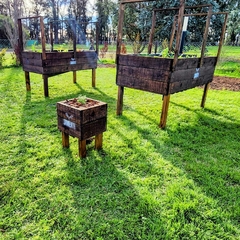 Banner de la categoría Hormiguita 40x40
