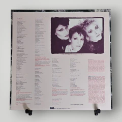 Stevie Nicks - Rock a Little (Japão) na internet