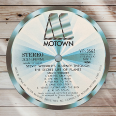 Stevie Wonder - Journey Through the Secret Life of Plants (Duplo-Japones) - Vinil Store
