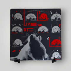 V.A. - Live at the Rat (Duplo)