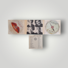 Red Hot Chili Peppers - Greatest Hits & Videos na internet