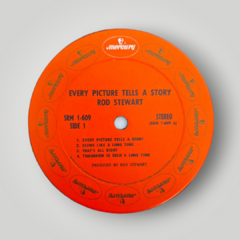 Rod Stewart - Every Picture Tells a Story na internet