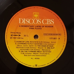 Pink Floyd - A Momentary Lapse of Reason na internet