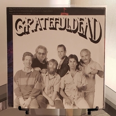 Grateful Dead - Built to Last na internet