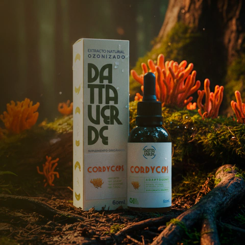 CORDYCEPS - comprar online