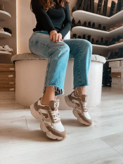 Zapa Ale (430) en internet