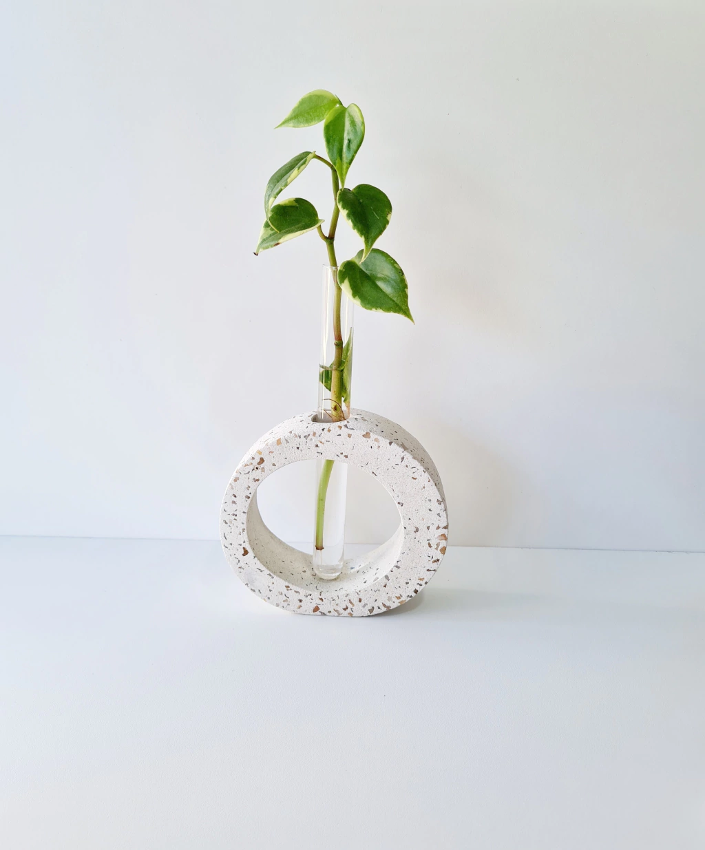 Vaso Decorativo com Tubo de Ensaio Carla