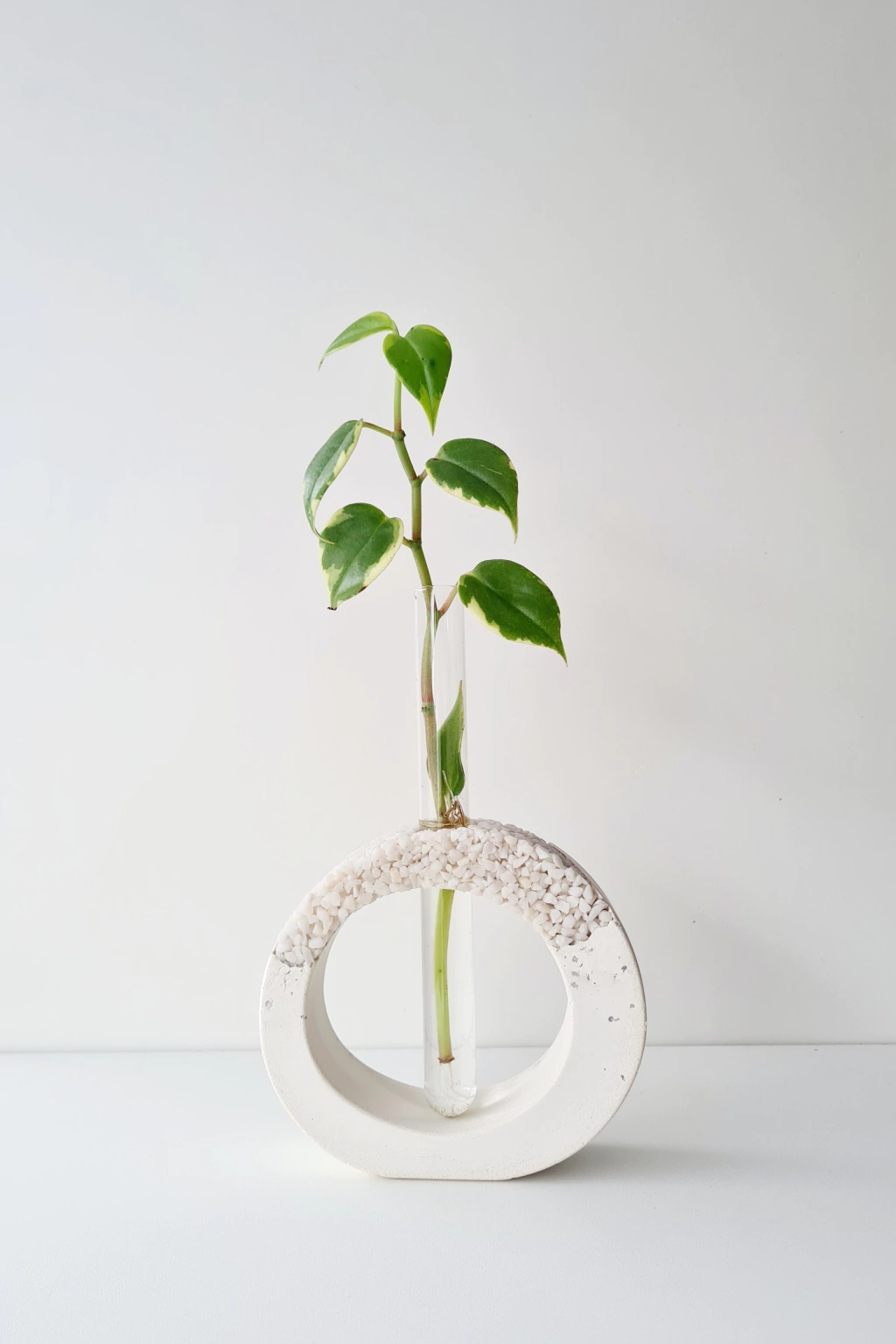 Vaso Decorativo com Tubo de Ensaio Luiza