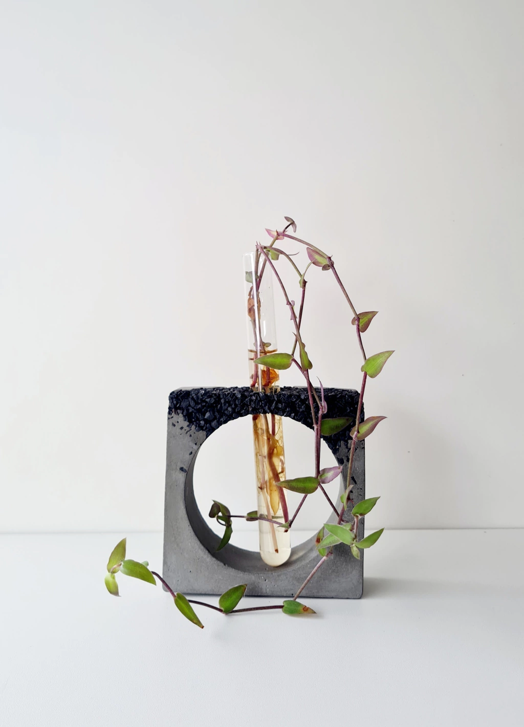 Vaso Decorativo com Tubo de Ensaio Kelly