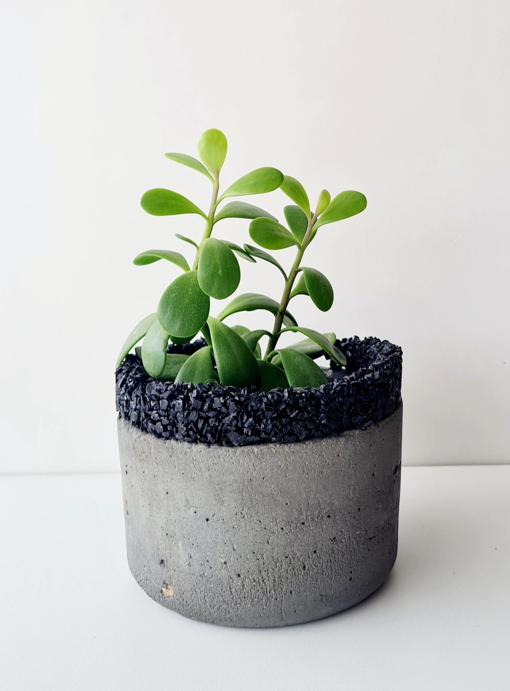 Vaso Cachepot Juliana GG