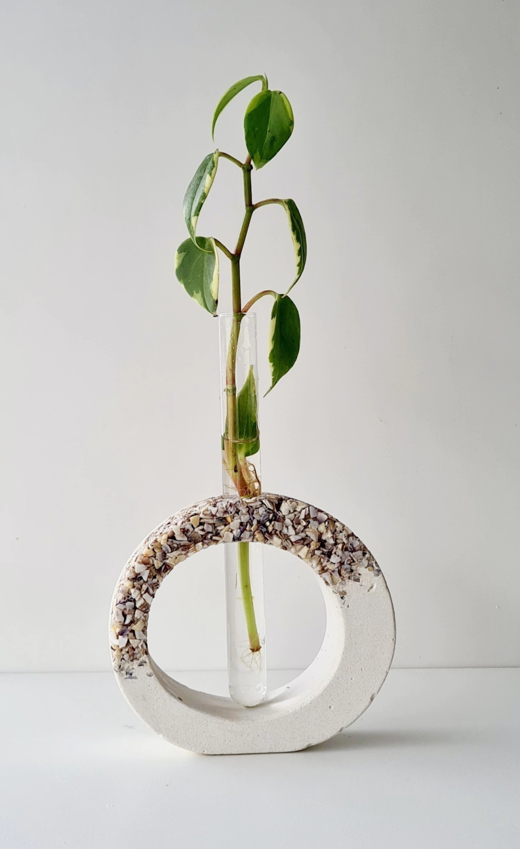 Vaso Decorativo com Tubo de Ensaio (A)mar