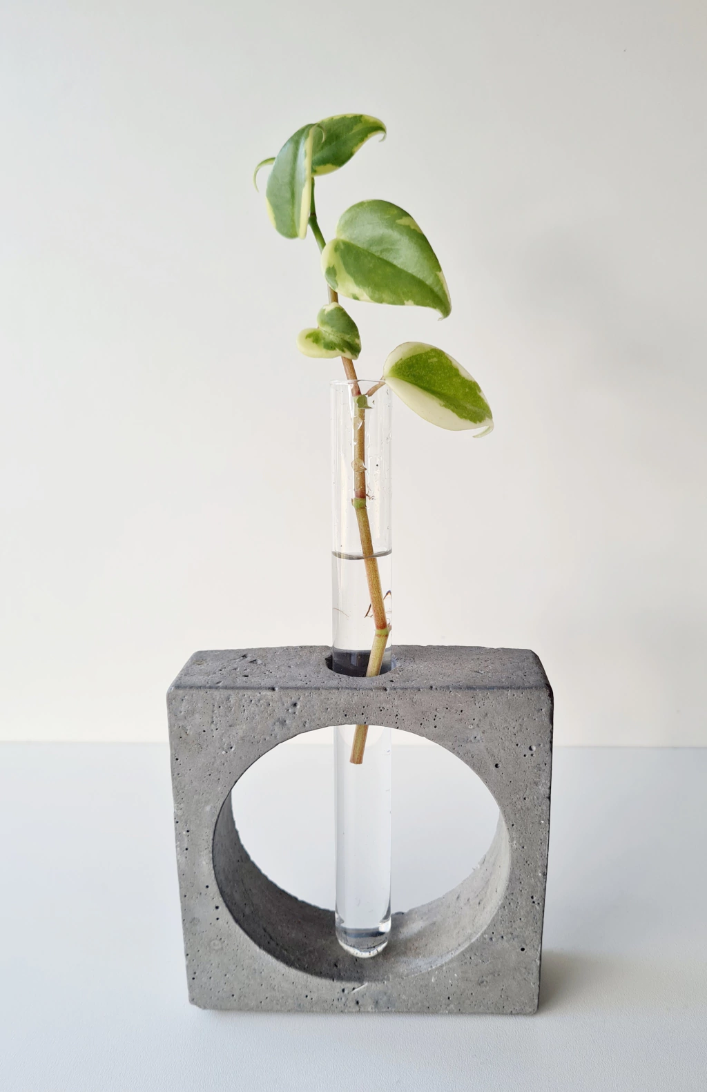Vaso Decorativo com Tubo de Ensaio Fran