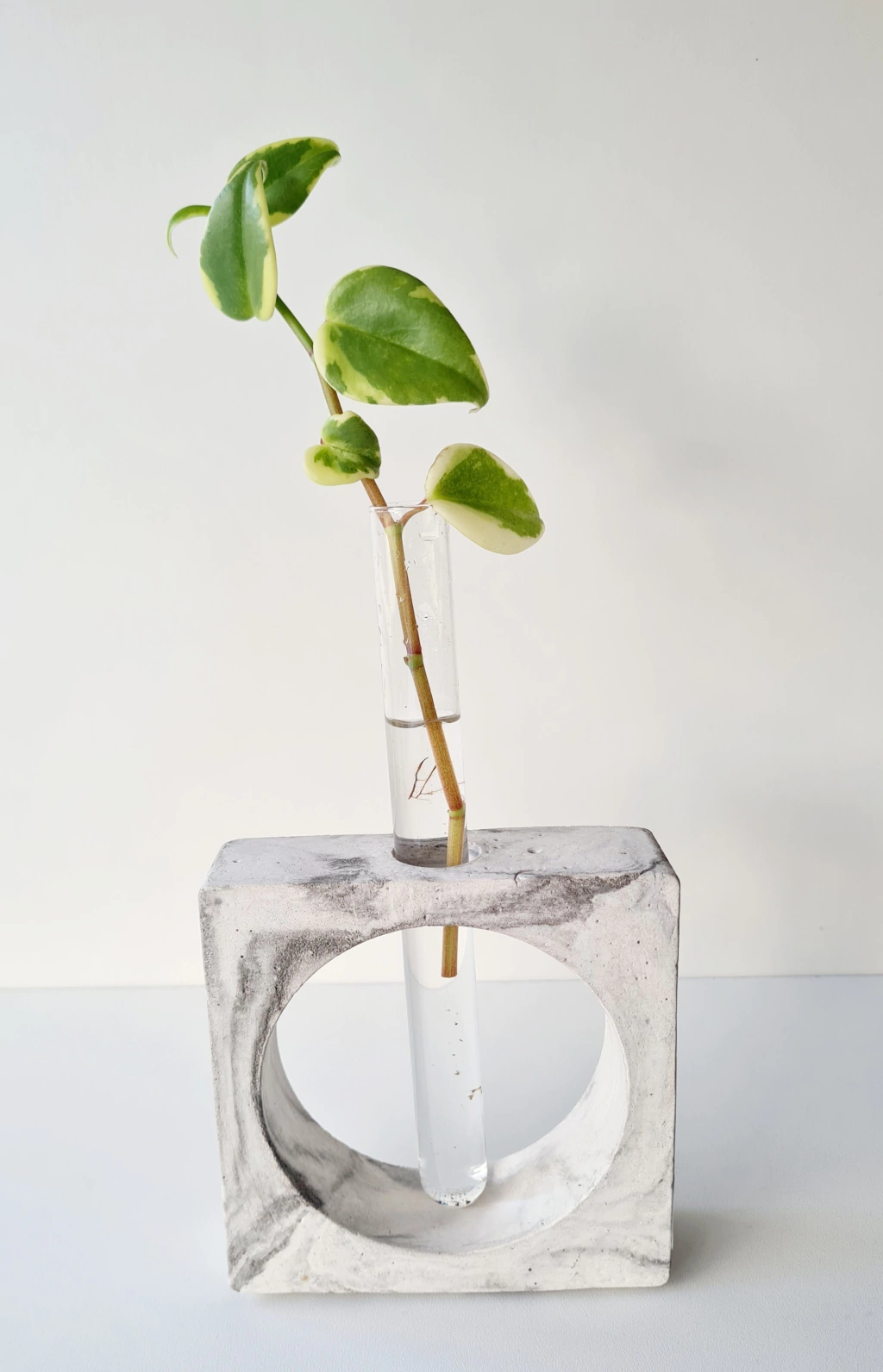 Vaso Decorativo com Tubo de Ensaio Rose