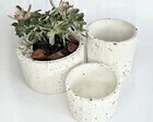 Trio de Vasos Isabel