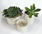 Trio de Vasos Redondo Iana