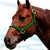CABRESTO M BOOTS HORSE