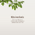 Banner de Wabi Sabi 