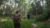 The Last of Us Part II Remastered EXCLUSIVO PS5 - comprar online